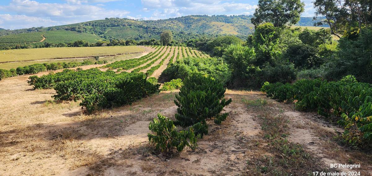 Fazenda, Zona Rural, 9 Quartos, 0 Vaga, 5 Suítes