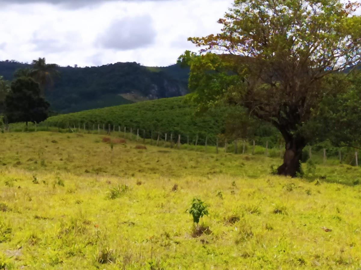 Fazenda, Centro, 1 Quarto, 1 Vaga
