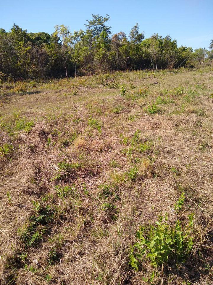 Lote, Zona Rural, 0 Quarto, 0 Vaga