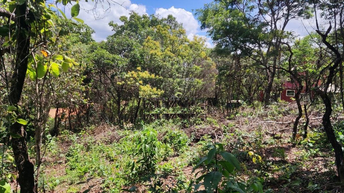 Lote, Centro, 0 Quarto, 0 Vaga