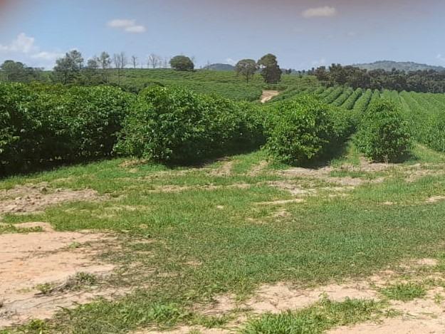 Fazenda, Centro, 1 Quarto, 1 Vaga, 1 Suíte
