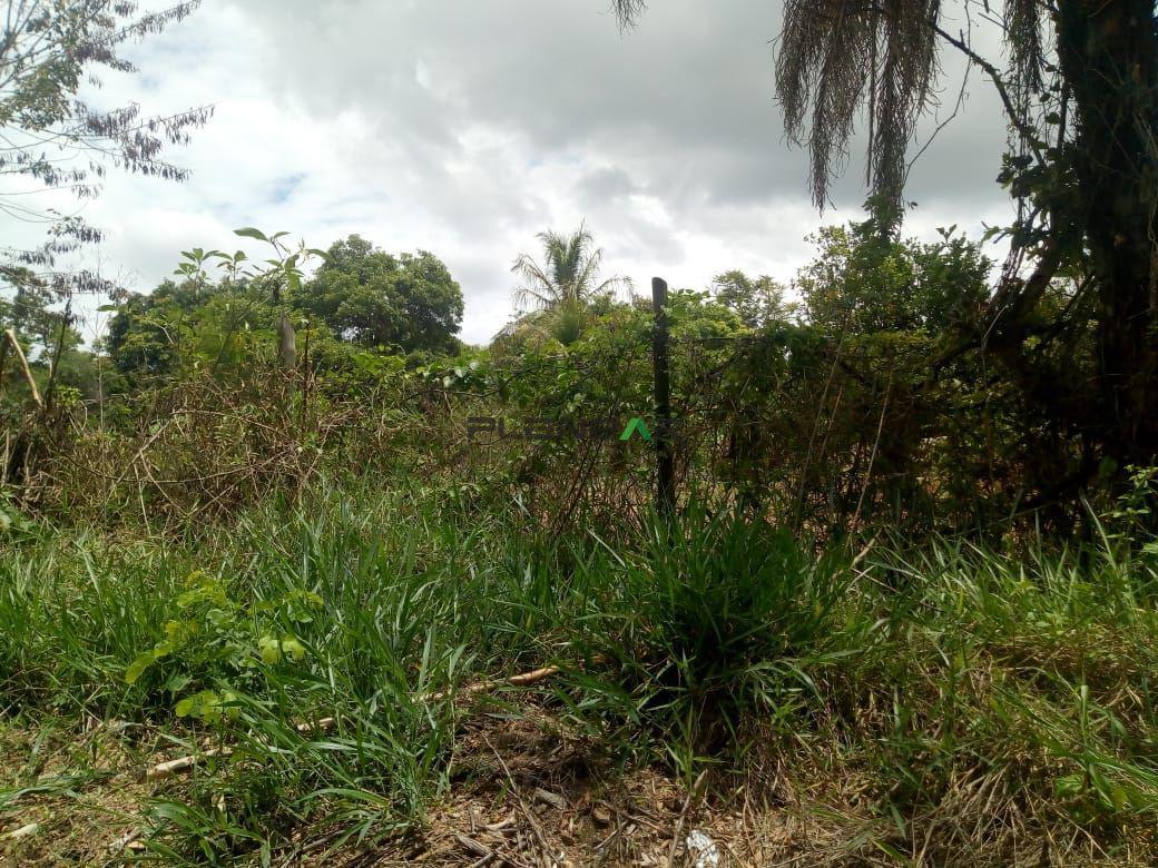 Lote, Tropeiros, 0 Quarto, 0 Vaga