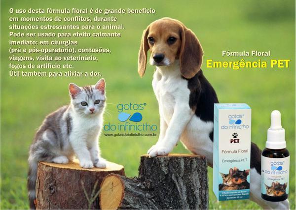 Florais No Tratamento de Animais