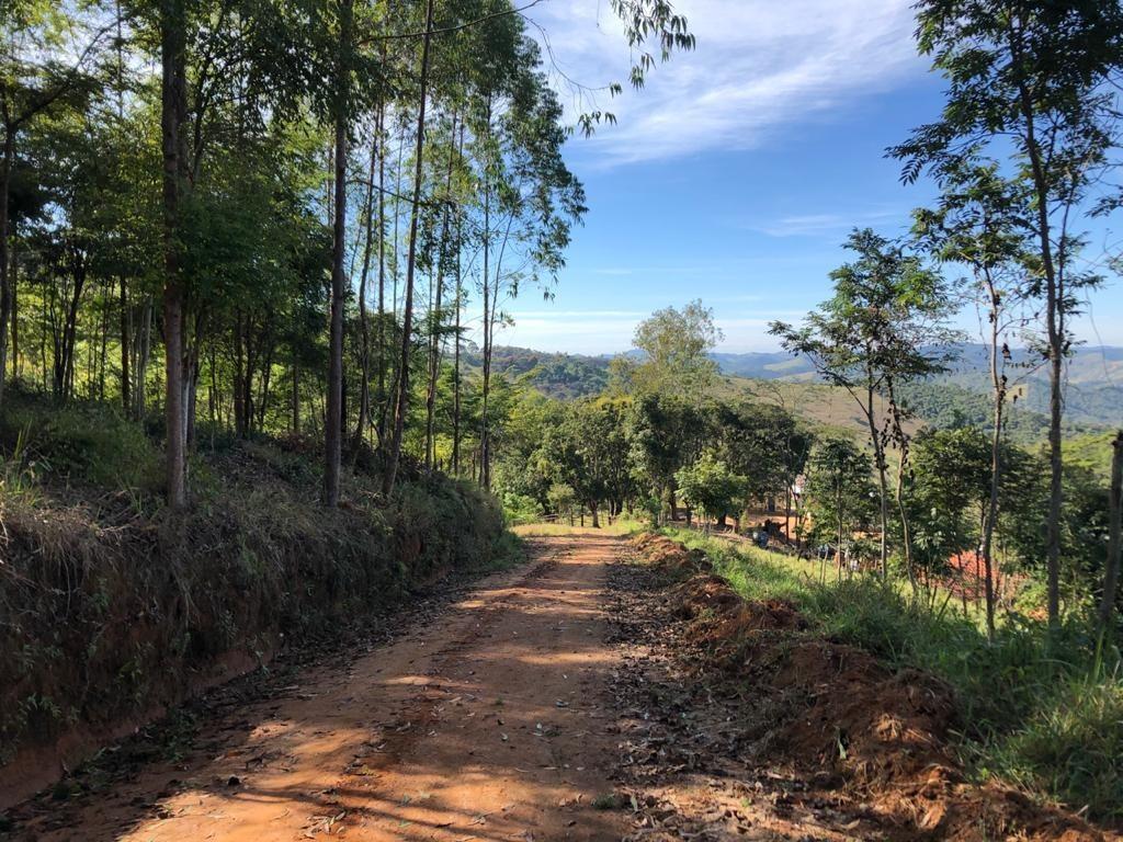 Fazenda, Centro, 3 Quartos, 10 Vagas, 1 Suíte