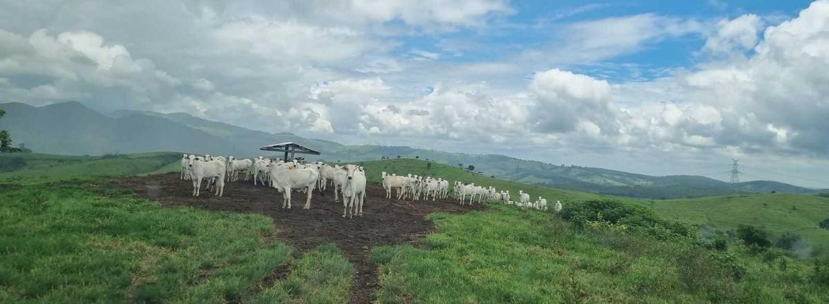 Fazenda, Zona Rural, 2 Quartos, 1 Vaga