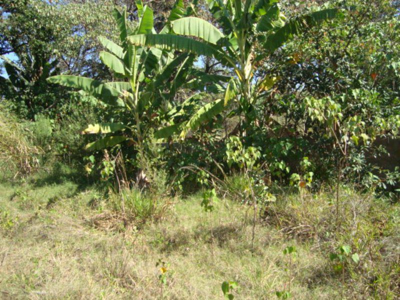 Lote, Nova Pampulha, 0 Quarto, 0 Vaga