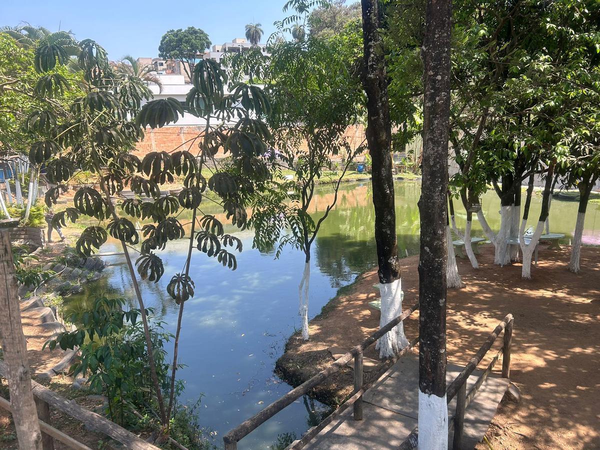 Lote, Trevo, 5 Quartos, 5 Vagas