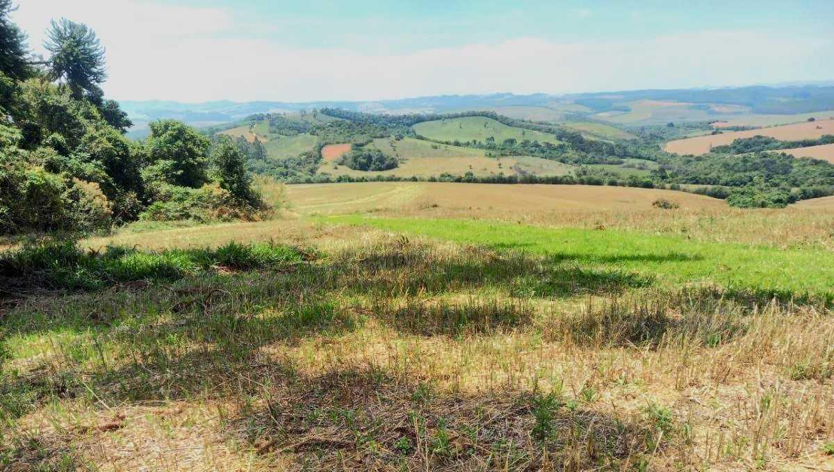 Fazenda, Centro, 0 Quarto, 0 Vaga