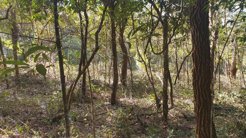 Lote em Condomínio, Quintas do Sol