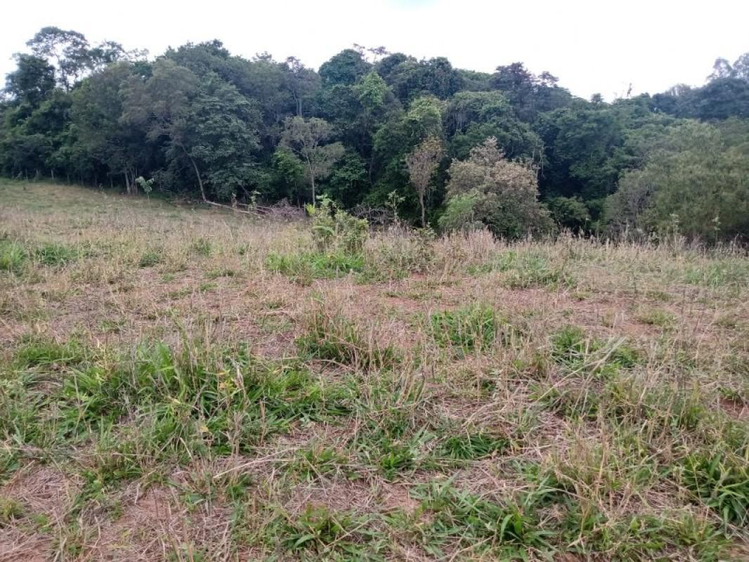 Fazenda, Centro, 0 Quarto, 0 Vaga