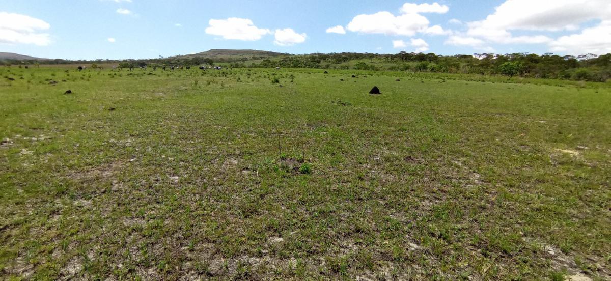 Fazenda, Zona Rural, 0 Quarto, 0 Vaga