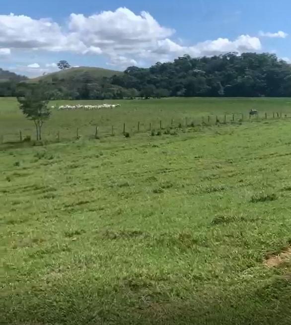 Fazenda, Zona Rural, 3 Quartos, 0 Vaga