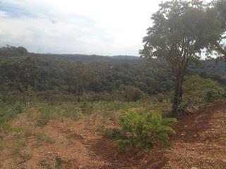 Fazenda, Centro, 0 Quarto, 0 Vaga