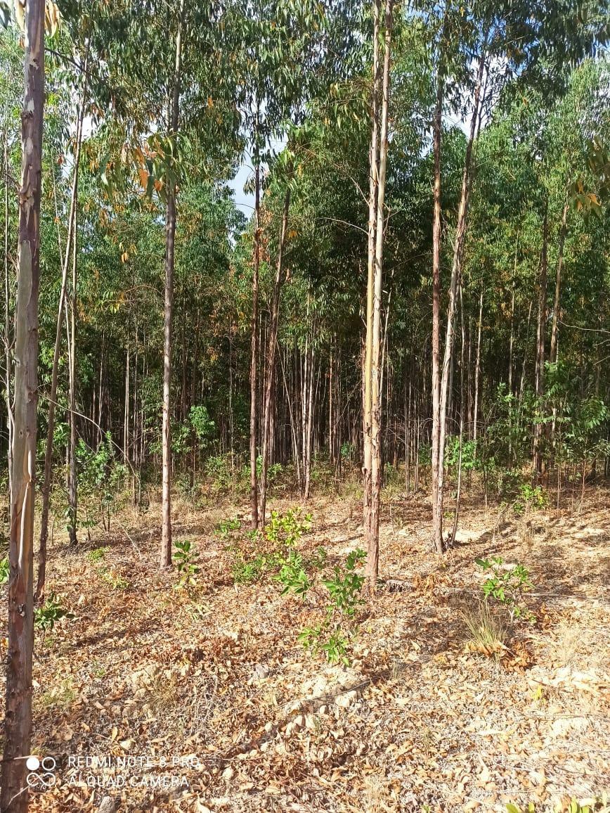 Fazenda, Zona Rural, 0 Quarto, 0 Vaga