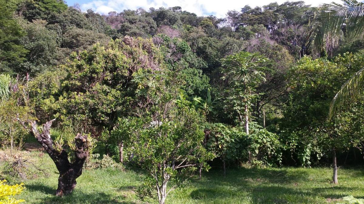 Lote, Bela Vista, 0 Quarto, 5 Vagas, 1 Suíte