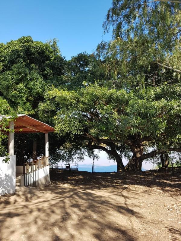 Fazenda, Zona Rural, 0 Quarto, 0 Vaga