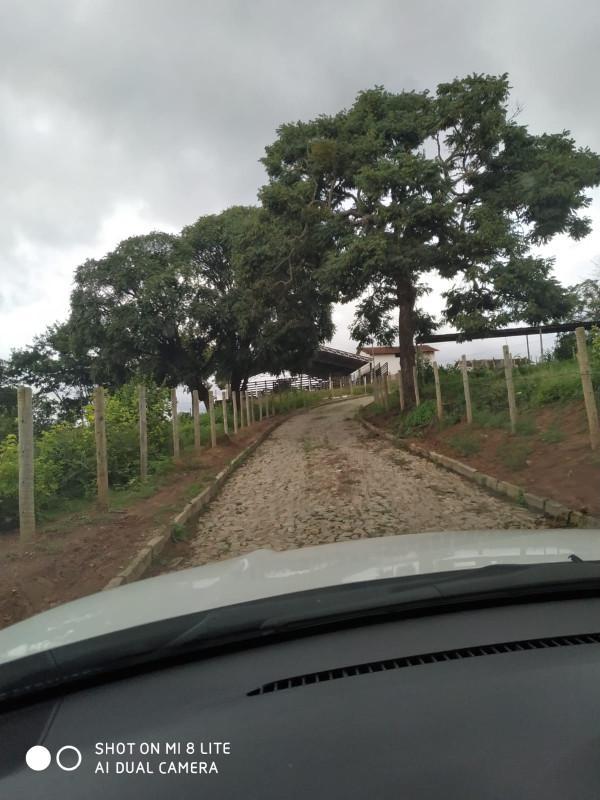 Fazenda, Centro, 0 Quarto, 0 Vaga
