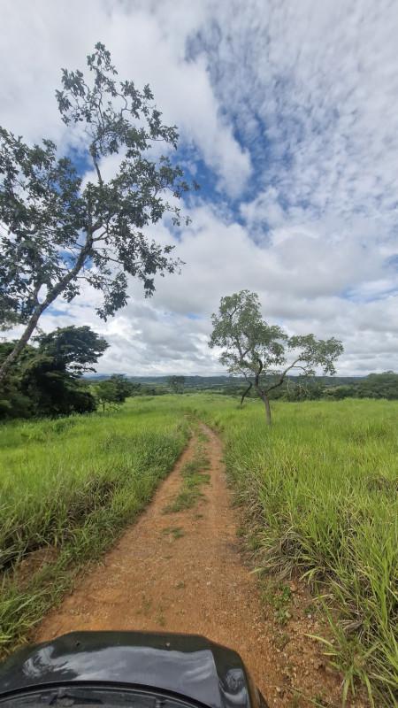 Fazenda, Centro, 0 Quarto, 0 Vaga