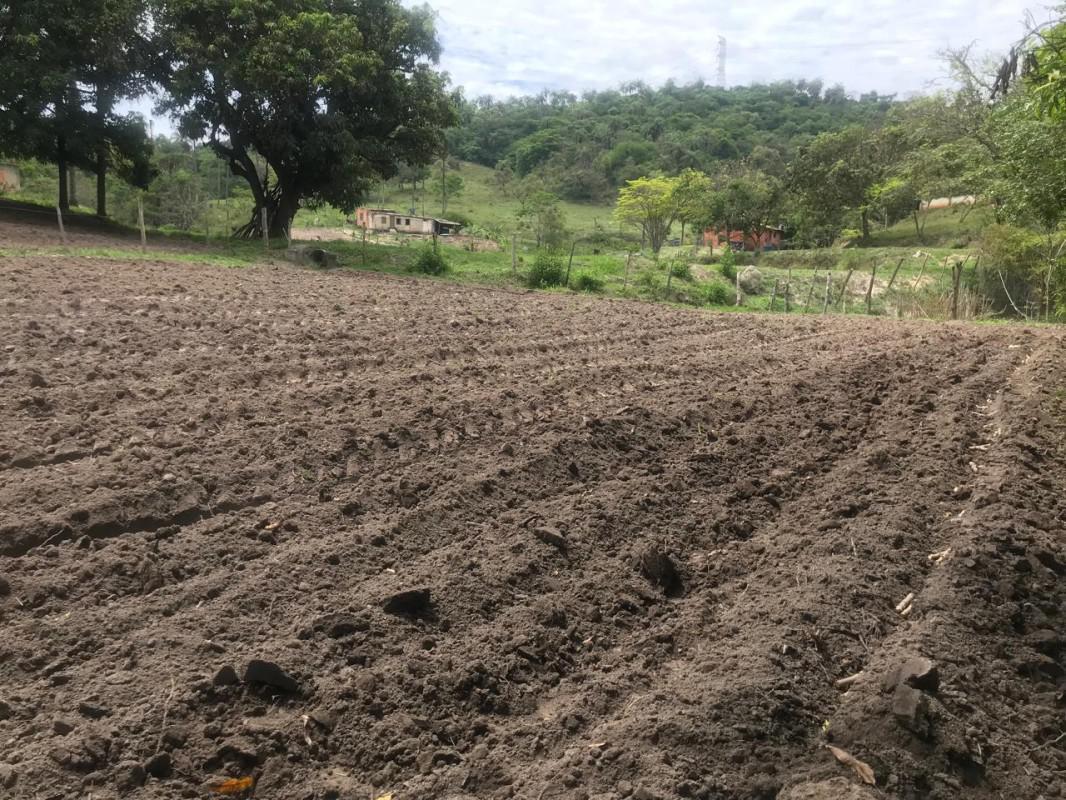 Lote, Bandeirinhas, 3 Quartos, 10 Vagas