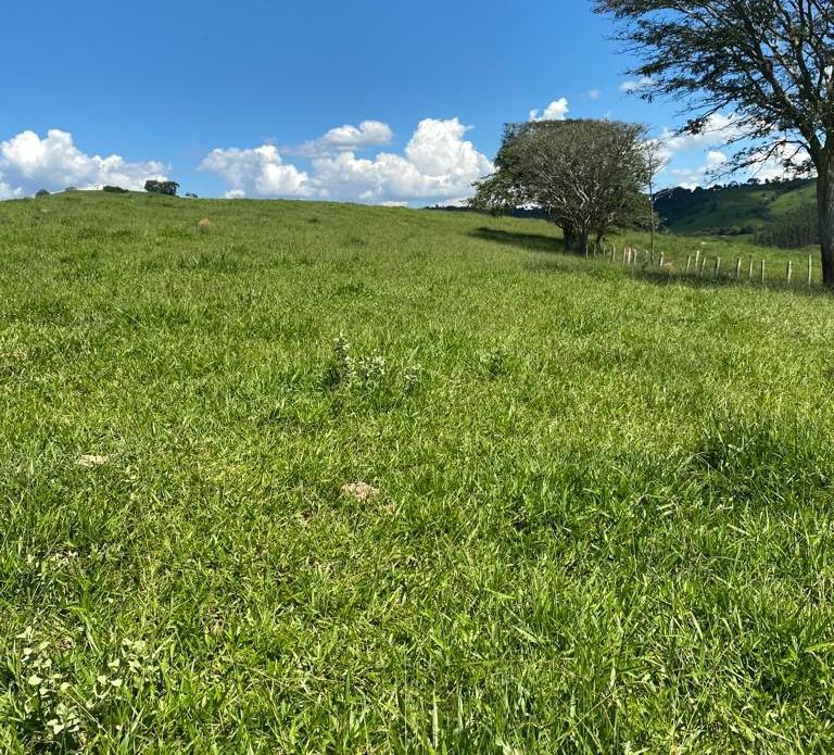 Fazenda, Zona Rural, 1 Quarto, 1 Vaga, 1 Suíte