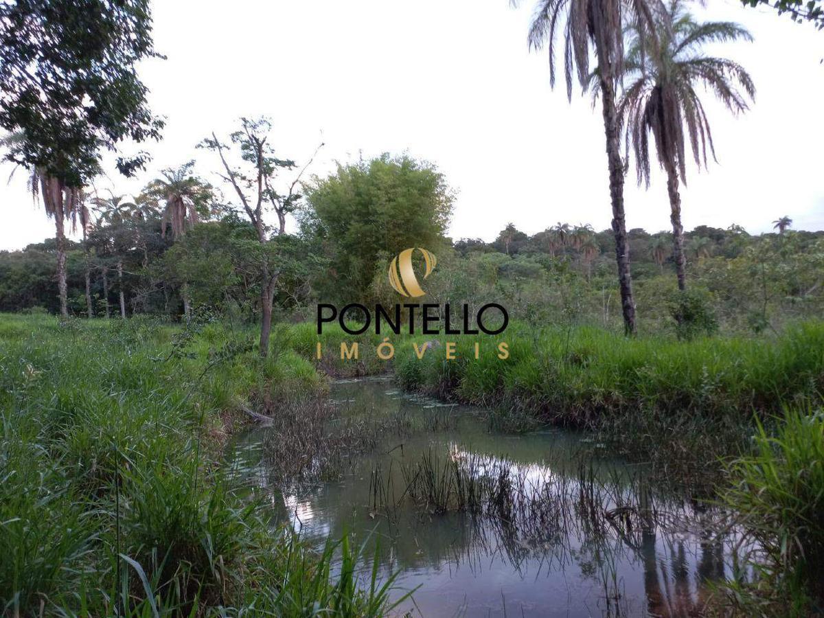 Lote, Vereda, 0 Quarto, 0 Vaga