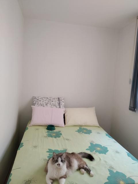 Apartamento, Solar do Barreiro, 2 Quartos, 1 Vaga