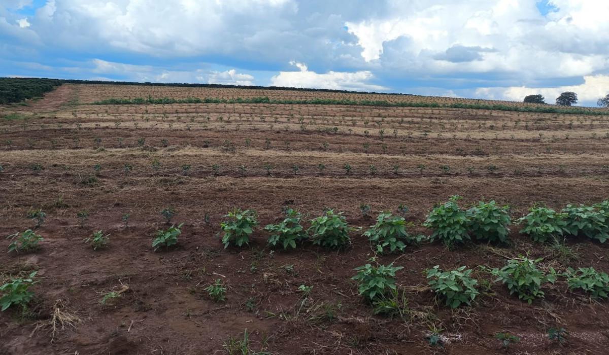 Fazenda, Zona Rural, 0 Quarto, 0 Vaga