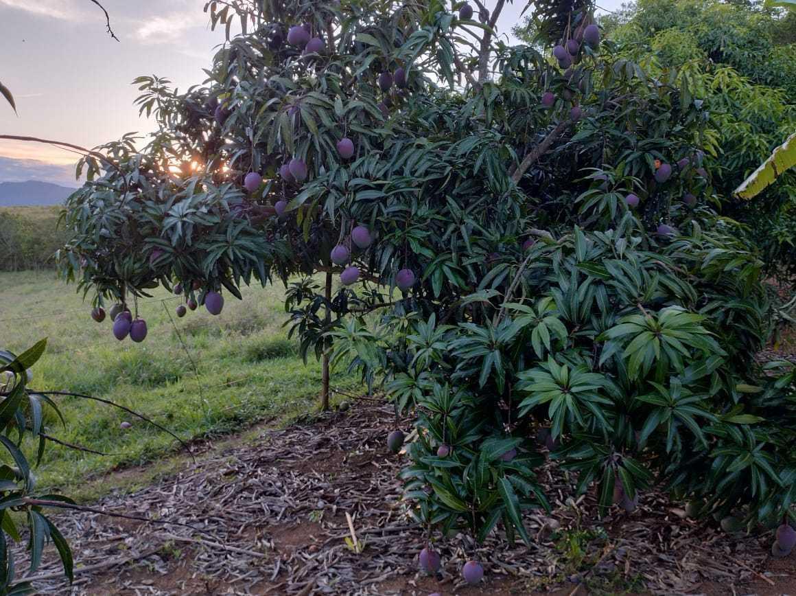 Fazenda, Zona Rural, 3 Quartos, 2 Vagas, 2 Suítes