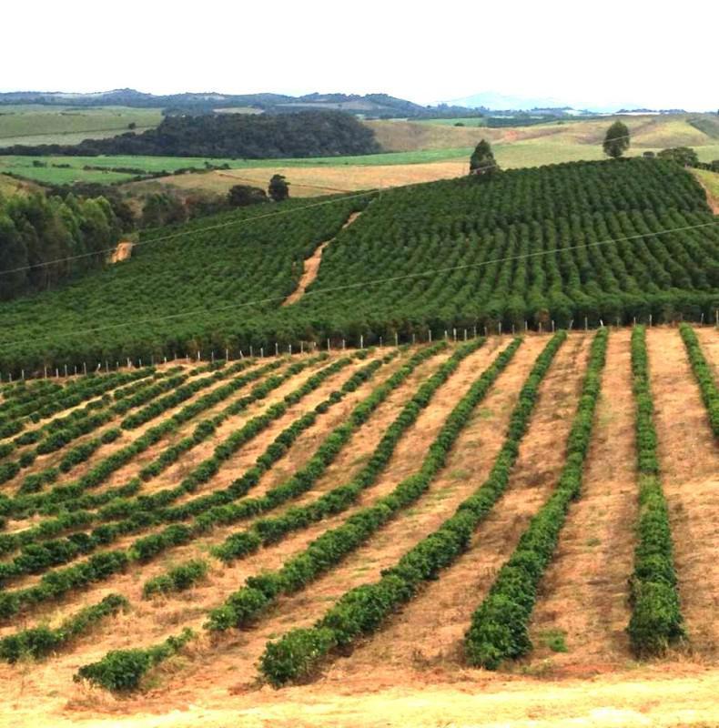 Fazenda, Zona Rural, 0 Quarto, 0 Vaga