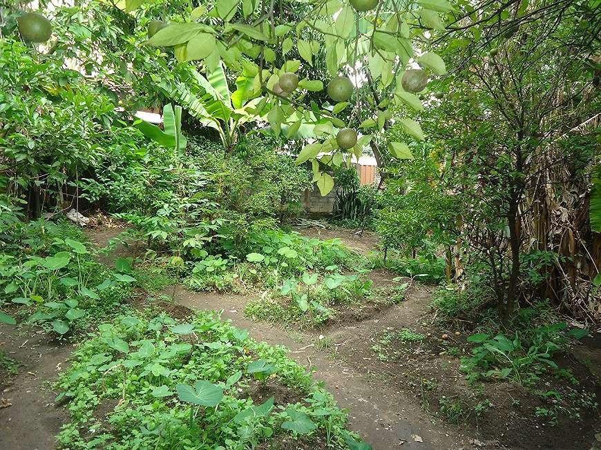 Casa, Sagrada Família, 3 Quartos, 6 Vagas