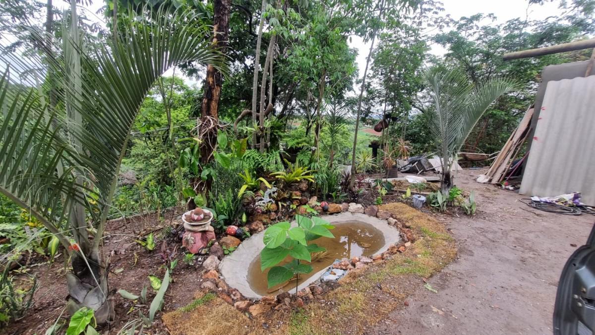 Fazenda, Centro, 0 Quarto, 0 Vaga