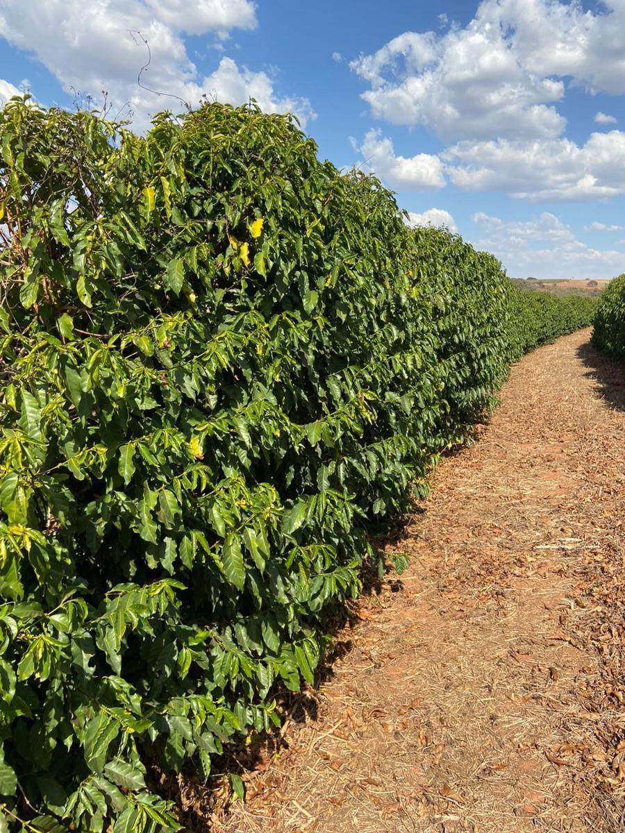 Fazenda, Zona Rural, 3 Quartos, 0 Vaga