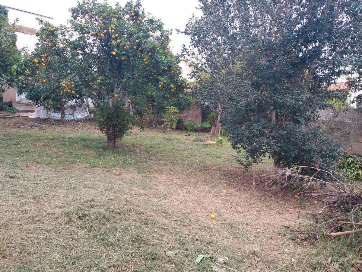 Lote, Centro, 0 Quarto, 0 Vaga