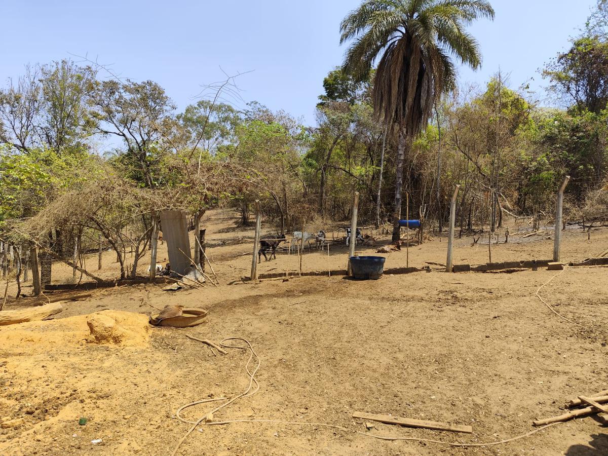 Lote, Jardim Encantado, 0 Quarto, 0 Vaga