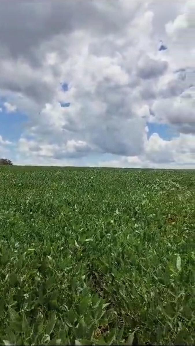 Fazenda, Zona Rural, 0 Quarto, 0 Vaga
