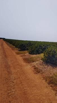 Fazenda, Zona Rural, 0 Quarto, 0 Vaga