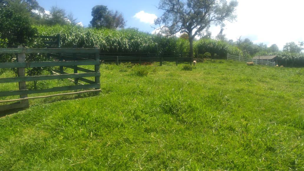 Fazenda, Zona Rural, 4 Quartos, 0 Vaga