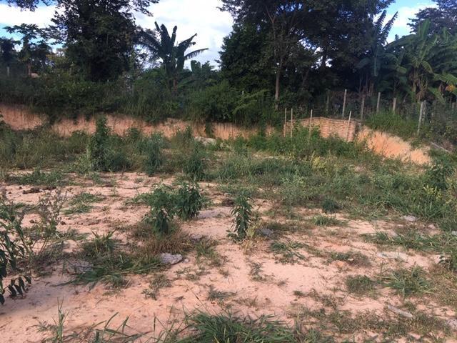 Lote, Zona Rural, 0 Quarto, 0 Vaga