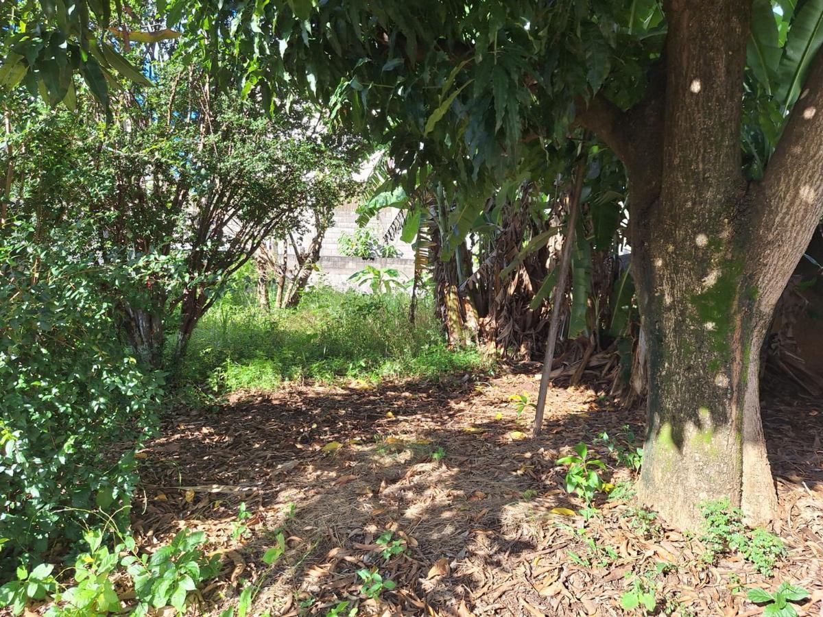 Lote, Bom Pastor, 0 Quarto, 0 Vaga