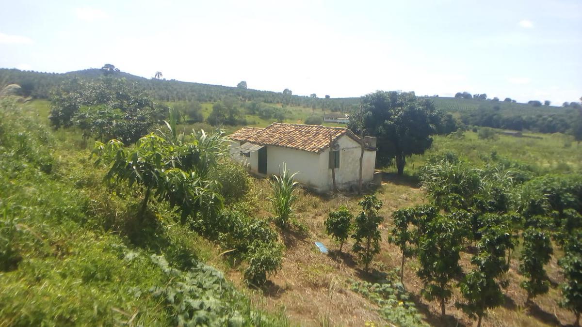 Fazenda, Zona Rural, 0 Quarto, 0 Vaga