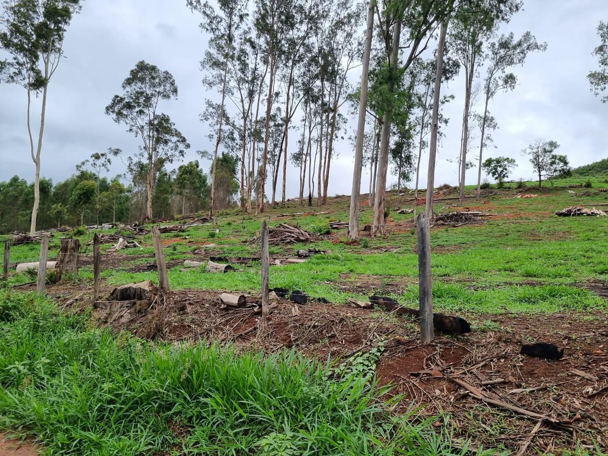 Fazenda, Zona Rural, 1 Quarto, 0 Vaga