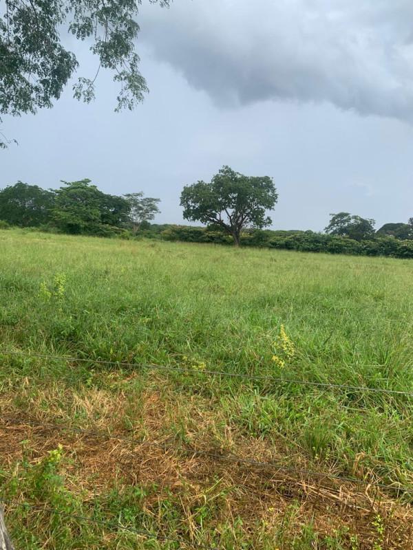 Fazenda, Centro, 0 Quarto, 0 Vaga