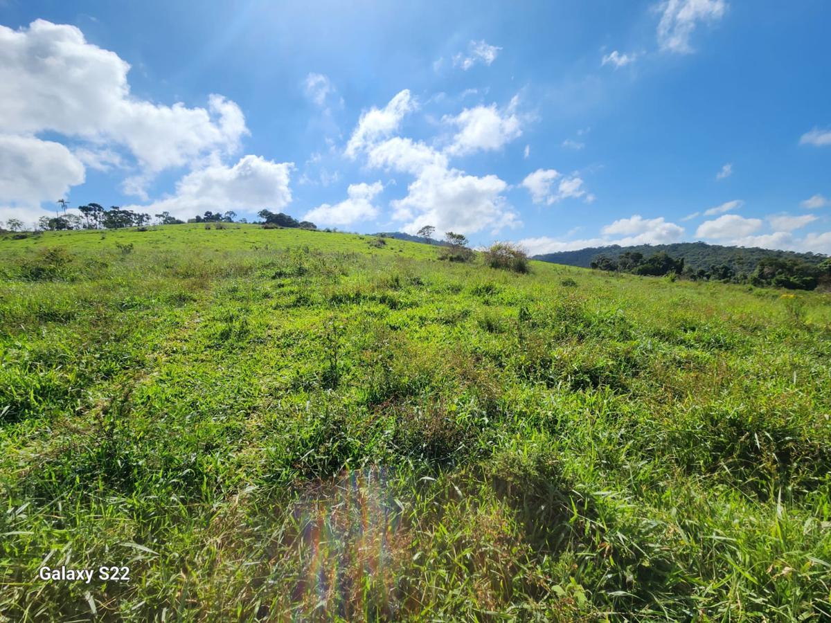 Fazenda, Centro, 1 Quarto, 0 Vaga