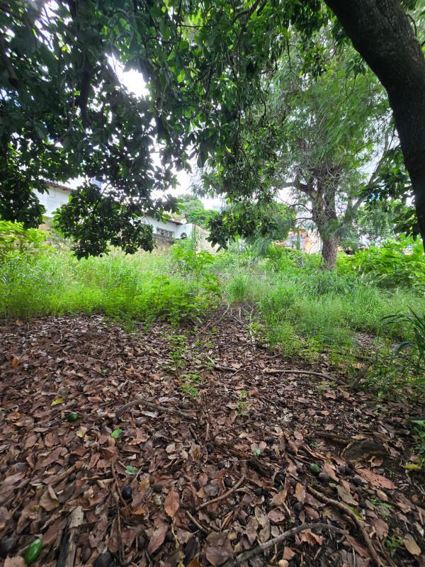 Lote, Serrano, 0 Quarto, 0 Vaga