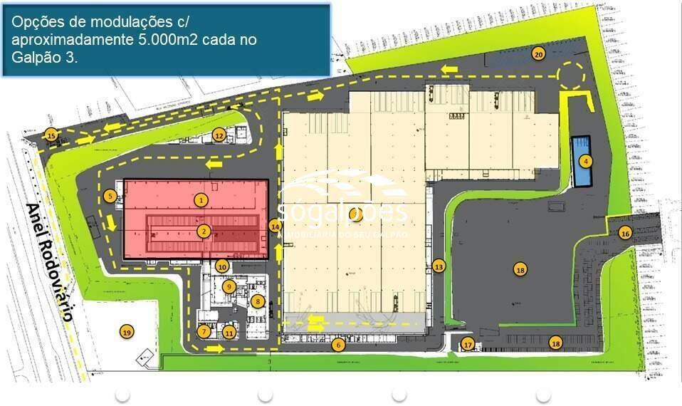 Galpão, Universitário