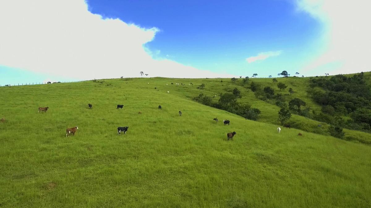 Fazenda, Centro, 1 Quarto, 1 Vaga