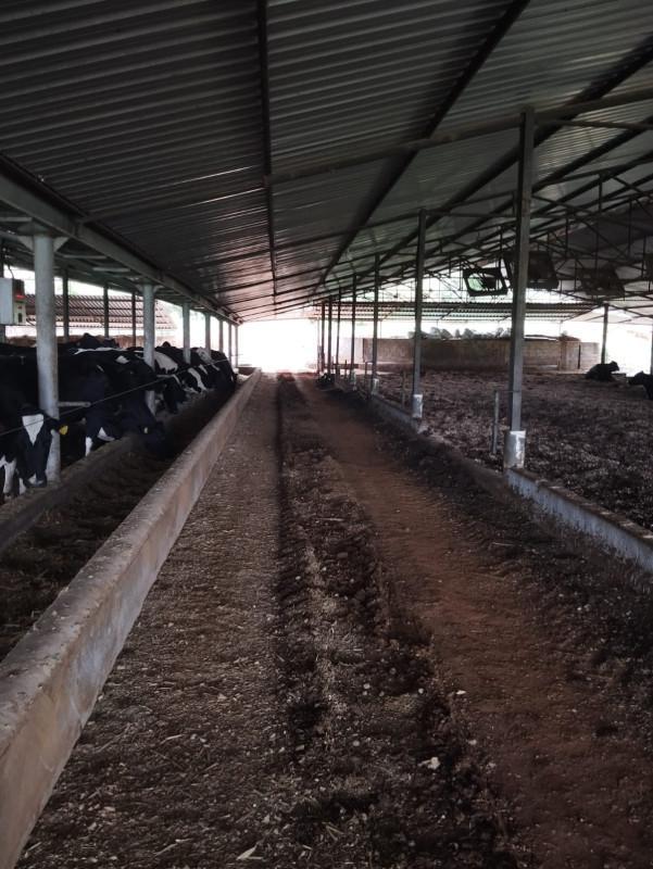 Fazenda, Área Rural de Pará de Minas, 0 Quarto, 0 Vaga