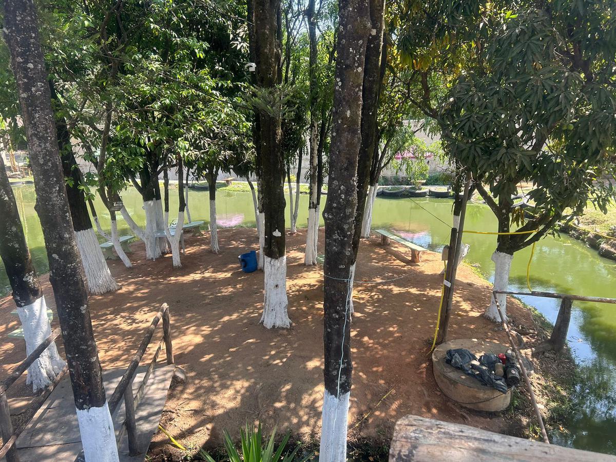 Lote, Trevo, 5 Quartos, 5 Vagas