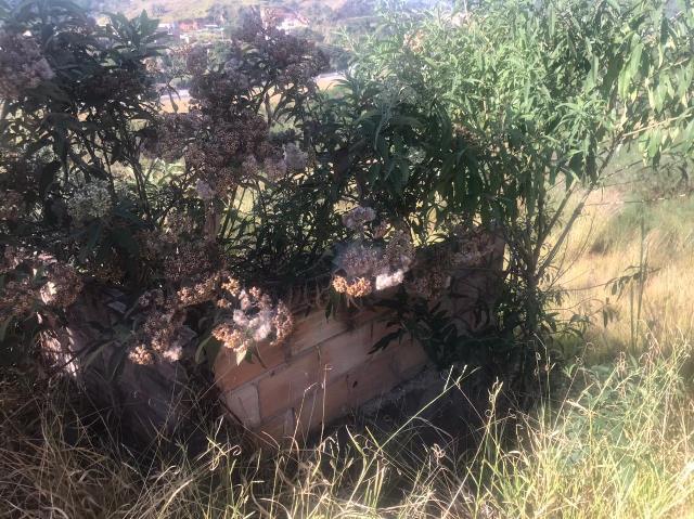 Lote, Jardim Vitória, 0 Quarto, 0 Vaga