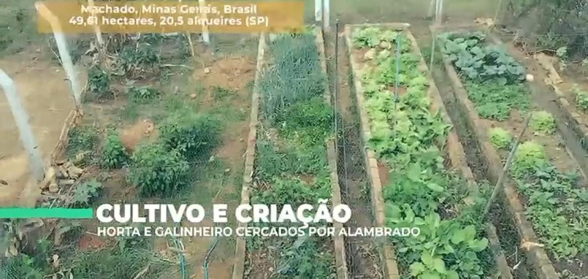 Fazenda, Zona Rural, 0 Quarto, 0 Vaga